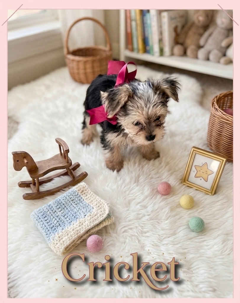 Needle felted "Cricket" puppy replica