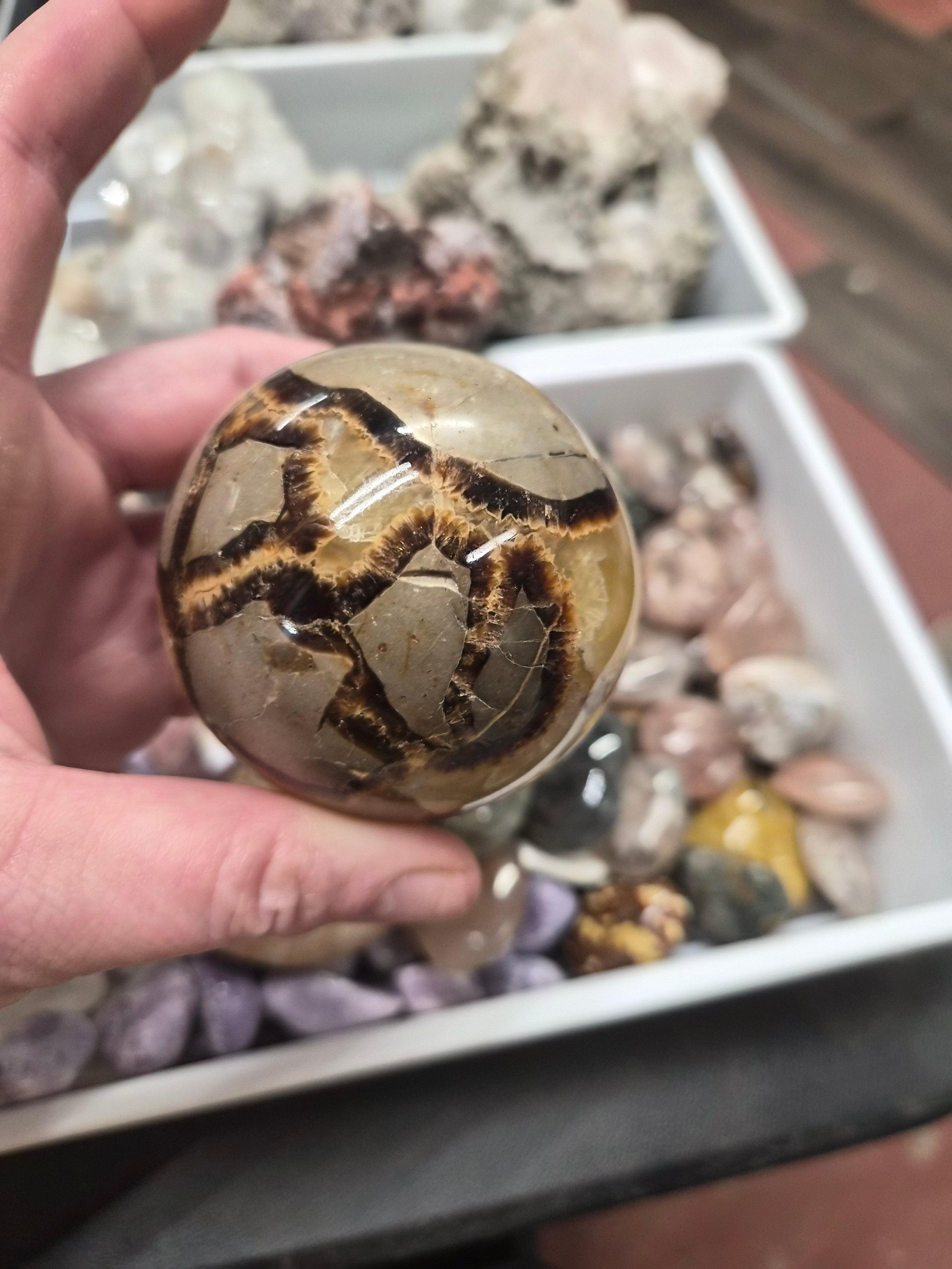 Septarian "Dragon Stone" sphere– 60mm