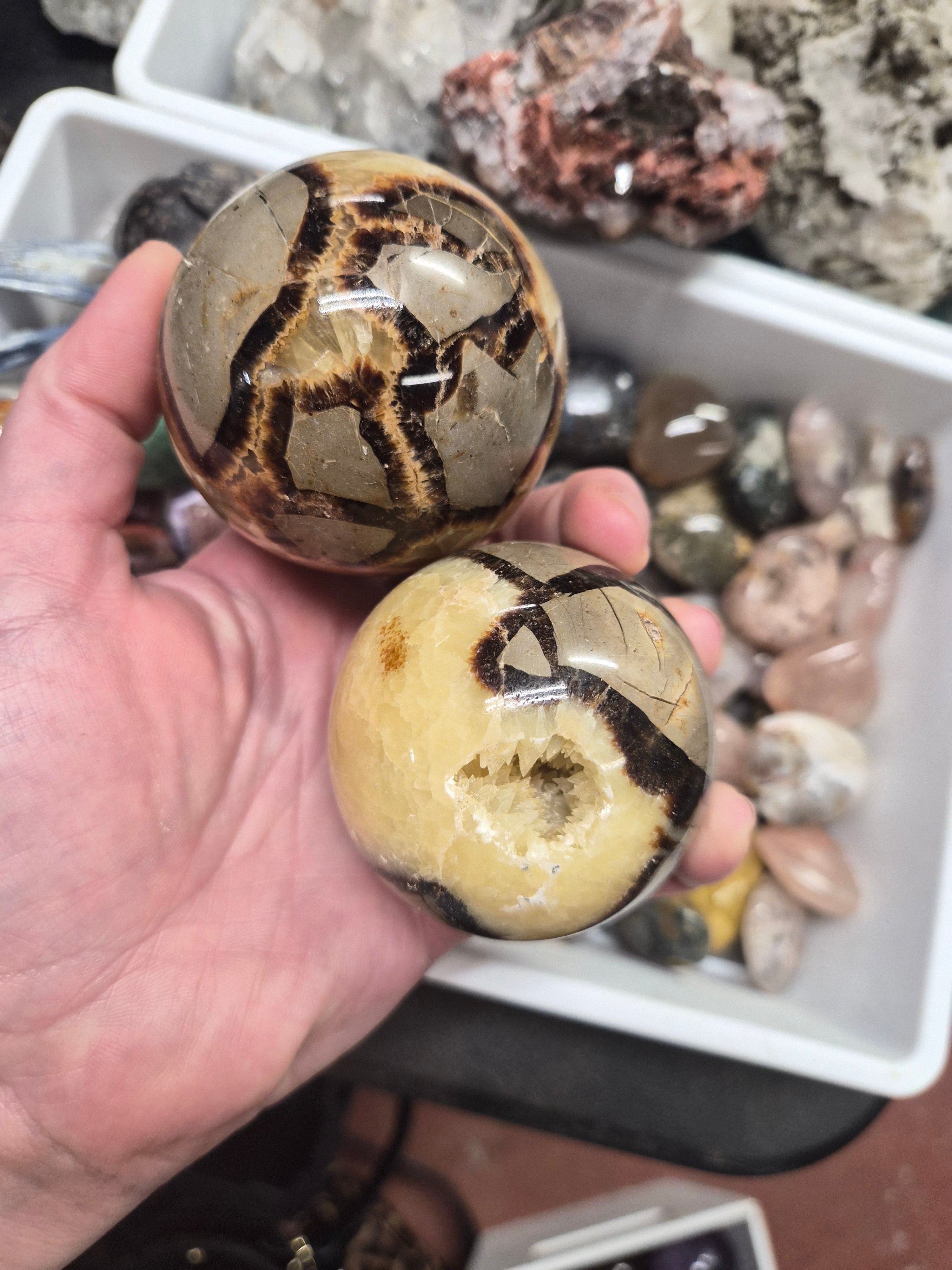 Septarian "Dragon Stone" sphere– 60mm