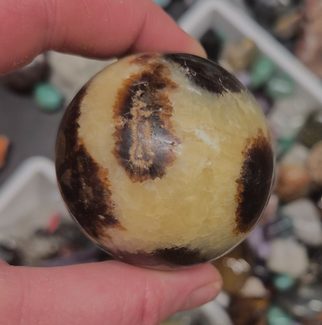 Septarian/Dragonstone Sphere–50mm