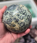 Orbicular Brecciated Jasper sphere– 90mm