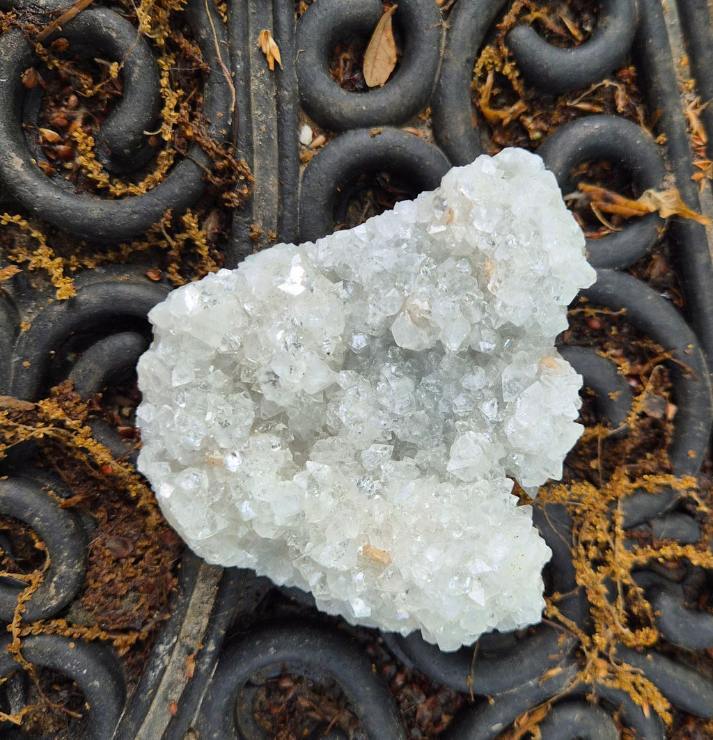 Museum Grade Clear Apopholite crystal cluster