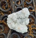 Museum Grade Clear Apopholite crystal cluster