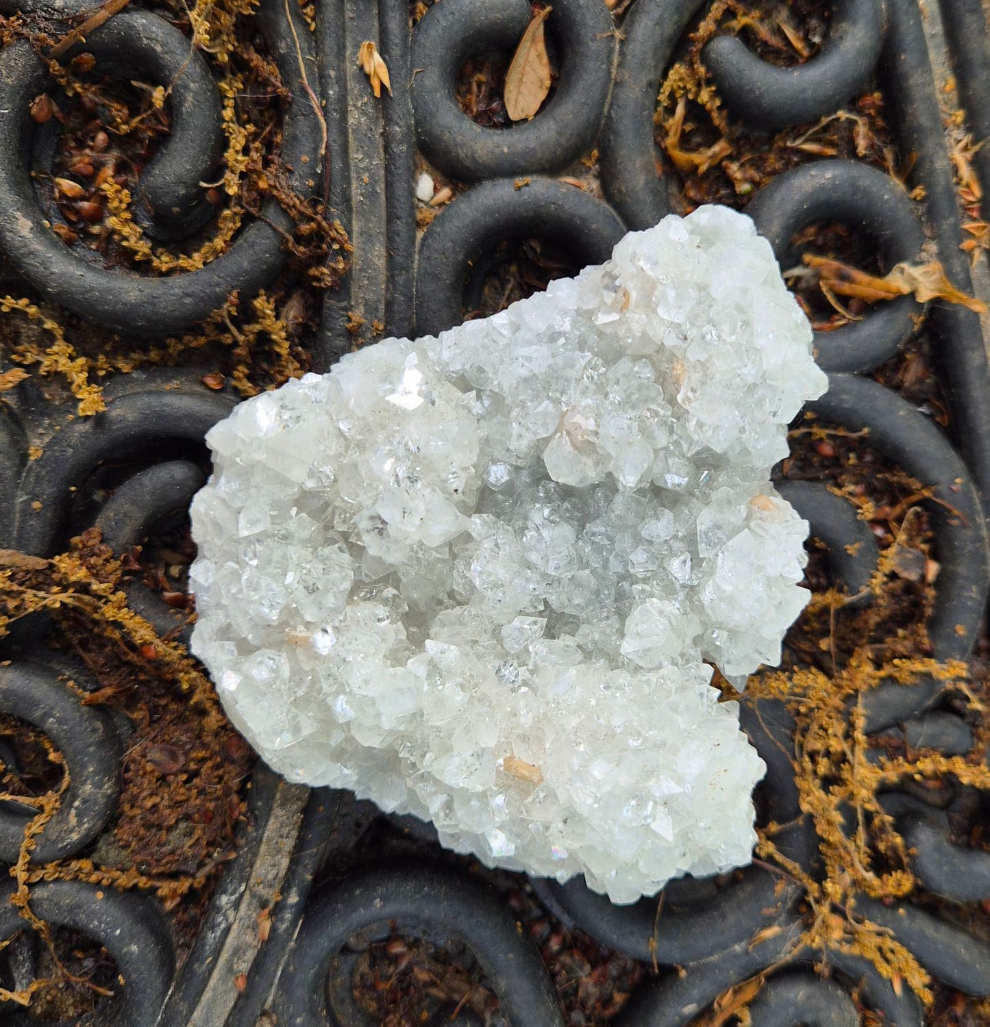 Museum Grade Clear Apopholite crystal cluster