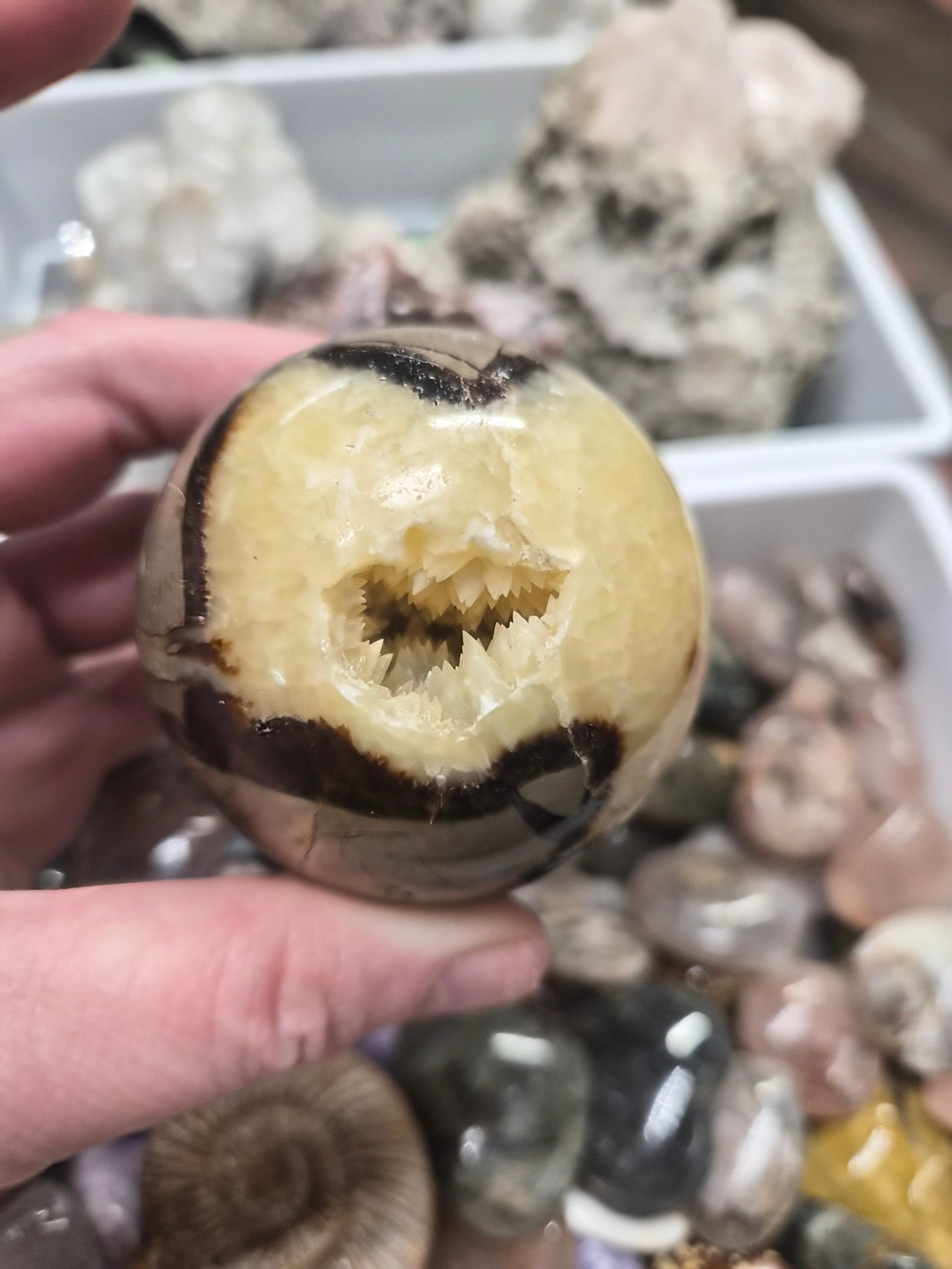 Septarian "Dragon Stone" sphere– 60mm