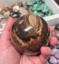 Petrified Wood sphere– 80mm
