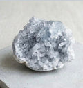 1lb+ Steel Blue Natural Celestite Crystal Cluster Geode